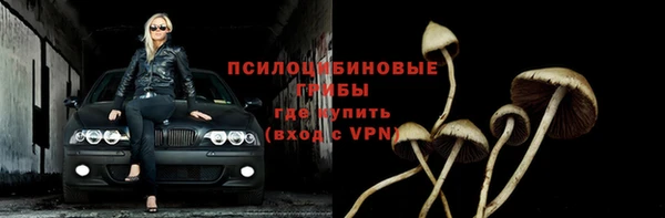дживик Саяногорск