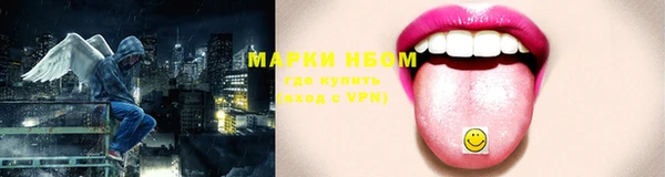дживик Саяногорск