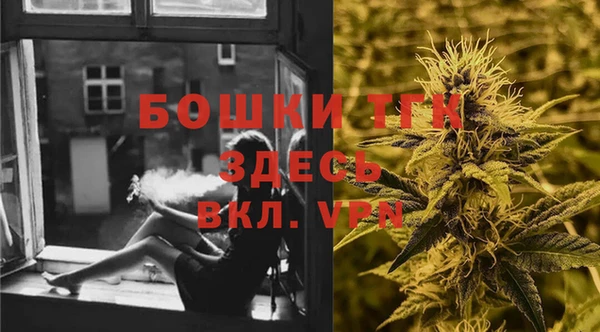 дживик Саяногорск