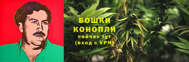 кракен ссылки  Ардатов  Каннабис LSD WEED  купить  цена 